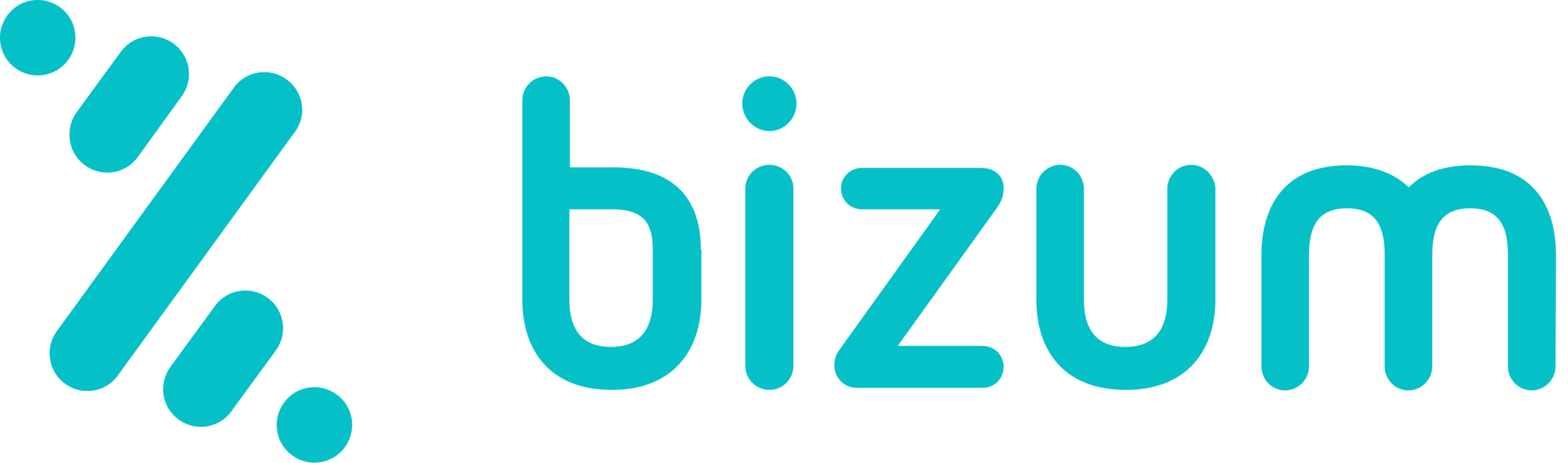 Bizum